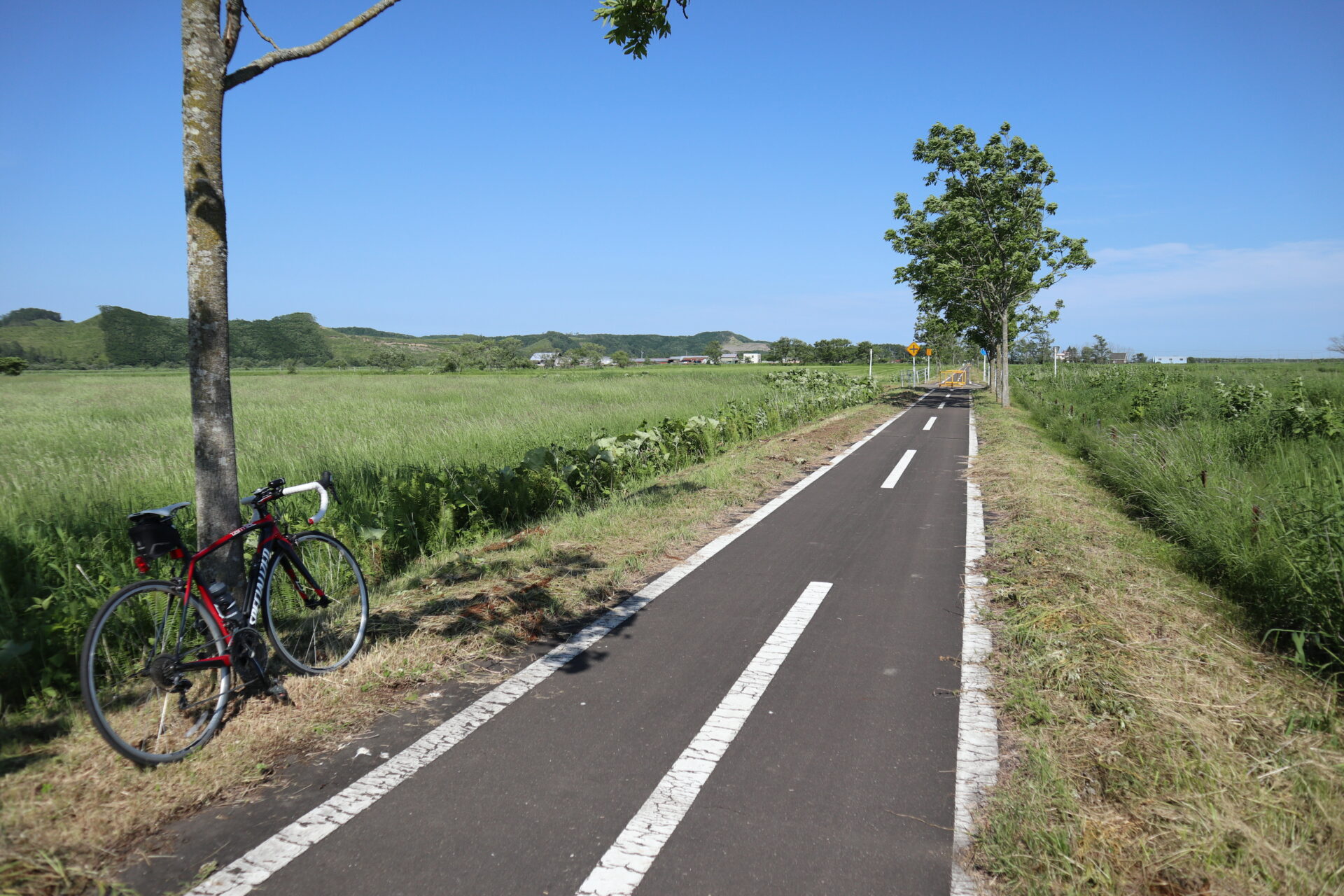 運動不足解消にウオーキング サラリーマンでもできるエクササイズ